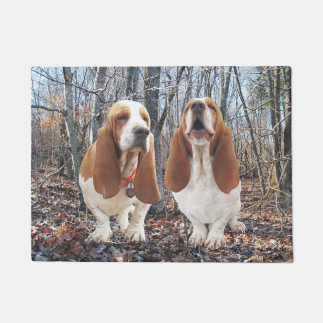 Basset in der Holz-Tür-Matte Fußmatte (Vorderseite)