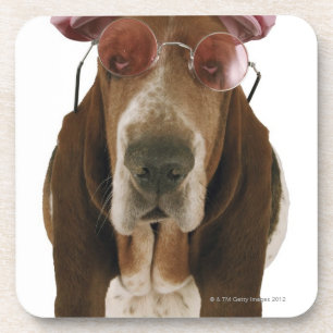 Basset in der Sonnenbrille und in der Kappe Untersetzer