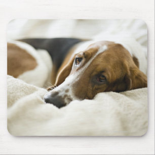 Basset-Jagdhund Mousepad
