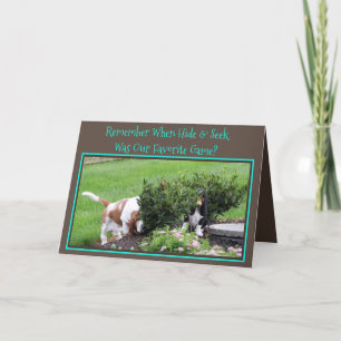 Basset Jouer "Cacher & Chercher" Sur Carte Anniver