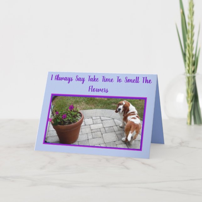 Basset mignonne W/Flowers & Crème glacée sur carte (Devant)