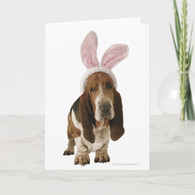 Basset mit den Häschenohren Karte (Vorderseite)