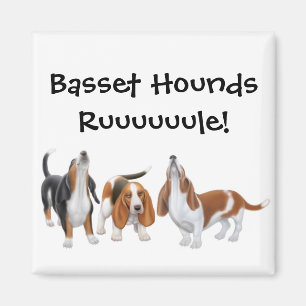 Basset-Regel-Magnet Magnet