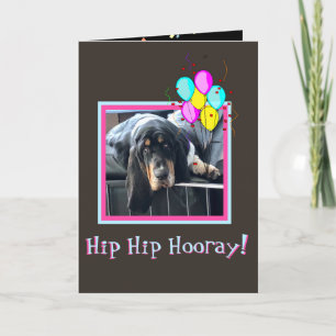 Basset triste et mou sur carte d'anniversaire amus