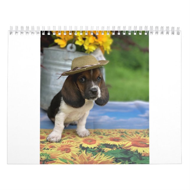 Bassetkalender, der kleines E kennzeichnet Kalender (Titelbild)
