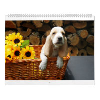 Bassetkalender