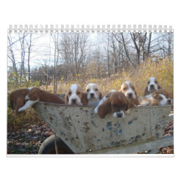 Bassetwelpenkalender 2019 kalender