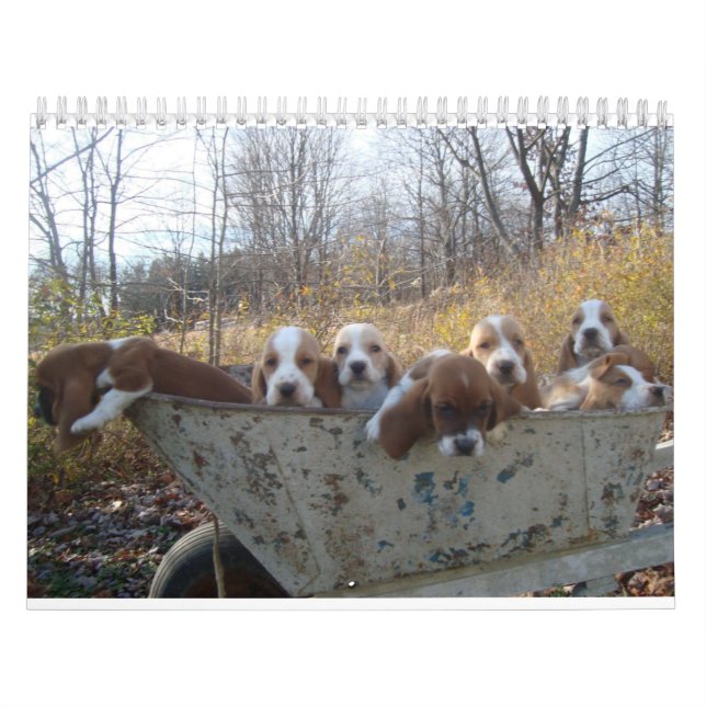 Bassetwelpenkalender 2019 kalender (Titelbild)