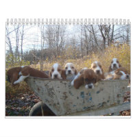 Bassetwelpenkalender 2019
