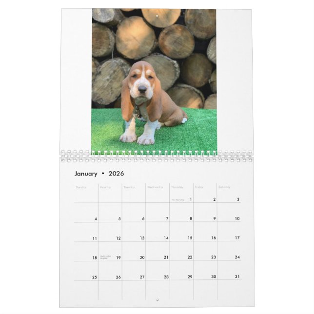 Bassetwelpenkalender Kalender (Jan 2026)