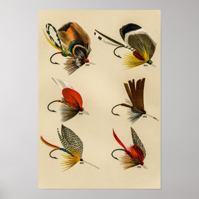 Bassfliegen 240 bis 245 Vintag Poster (Vorne)