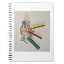 Bassie's Note Books