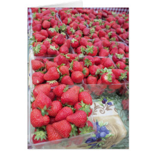 Bassin de fraises