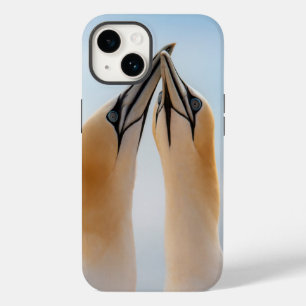 Basstölpel Helgoland Deutschland Morus Case-Mate iPhone 14 Hülle