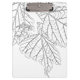 Basswood-Blätter Klemmbrett