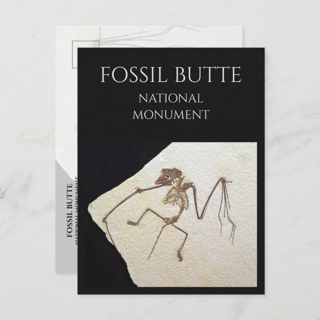 Bat Fossil, Fossil Lake, Fossil Butte, WY Postkarte (Vorne/Hinten)