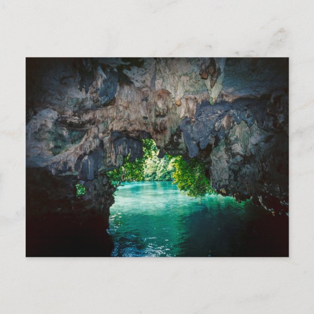 Bat Höhle in Airai, Palau, Mikronesien Postkarte (Vorderseite)