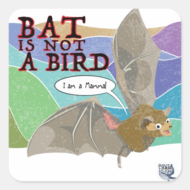 Bat ist kein Vogel Quadratischer Aufkleber (Vorderseite)