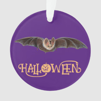 Bat Pipistrellus Illustration glückliches Hallowee Ornament