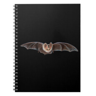 Bat Pipistrellus pipistrellus Illustration Notizblock