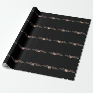 Bat Pipistrellus pipistrellus Illustration Schwarz Geschenkpapier
