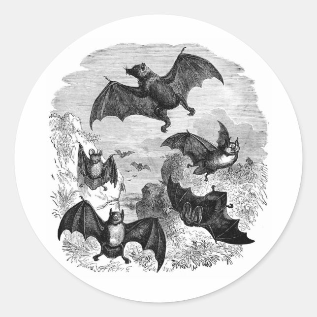 Bat Sketch Runder Aufkleber (Vorderseite)