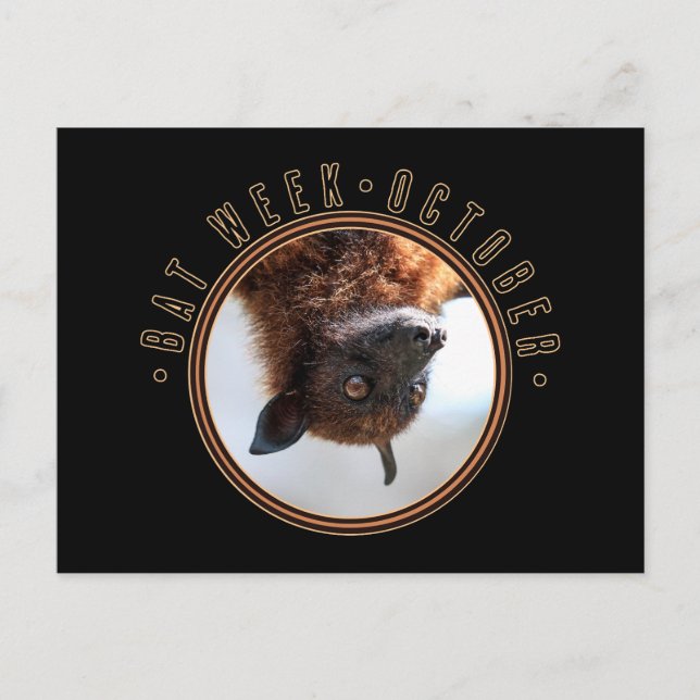 Bat Week, fliegender Fuchs Postkarte (Vorderseite)