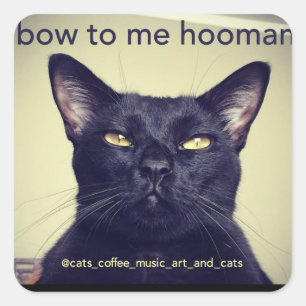 Batcat : arc à moi hooman Sticker