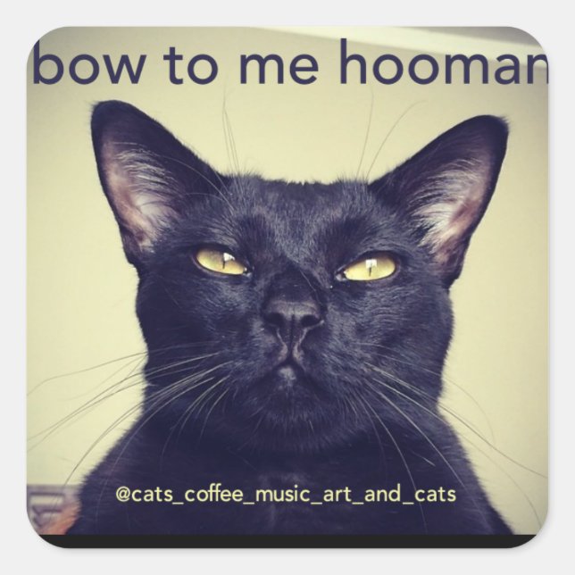 Batcat: beugen Sie sich mir als Hausaufkleber Quadratischer Aufkleber (Vorderseite)