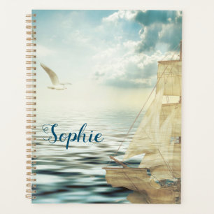 Bateau à voile et mouettes Brigantine