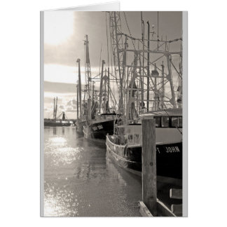 Bateaux de crevettes Biloxi à quai