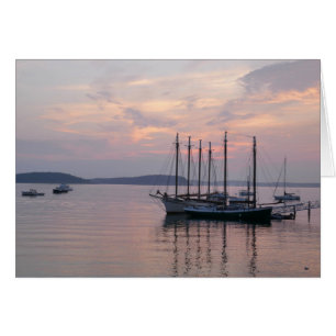 Bateaux du port de Bar à Sunrise II