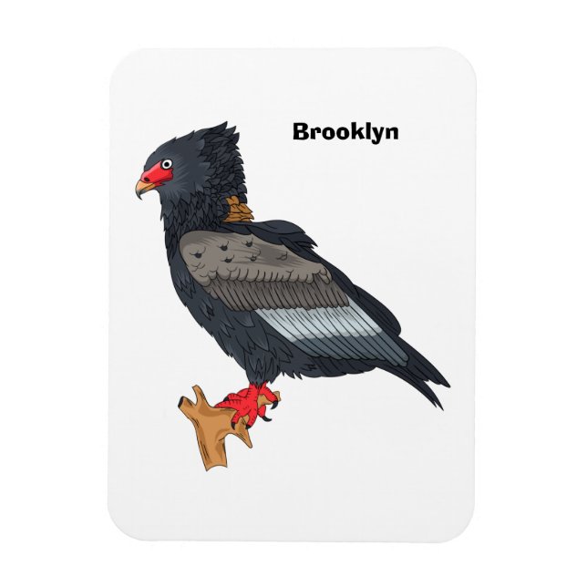 Bateleur Eagle Illustration Magnet (Vertikal)