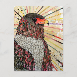 Bateleur Eagle Postkarte