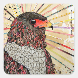 Bateleur Eagle Quadratischer Aufkleber