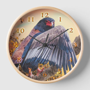 Bateleur Eagle "SUN DANCER" Uhr