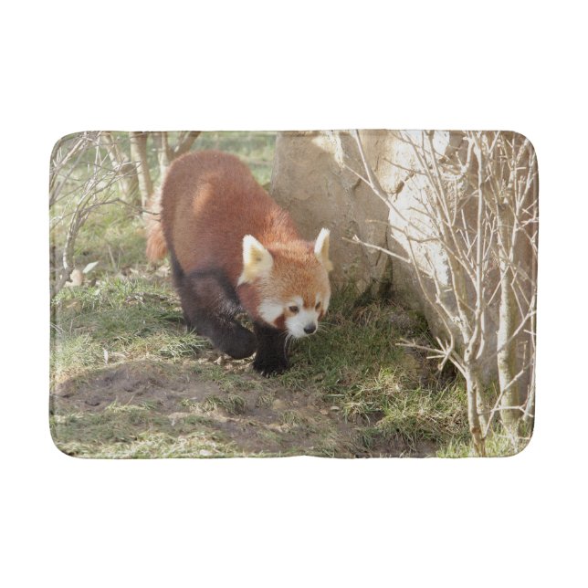 Bath Mat Foto rote Panda , Tiere 0126. Badematte (Vorderseite)