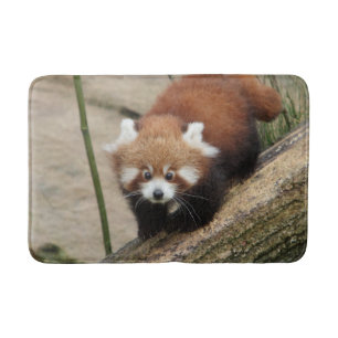 Bath Mat Foto roter Panda, Tiere 0127. Badematte