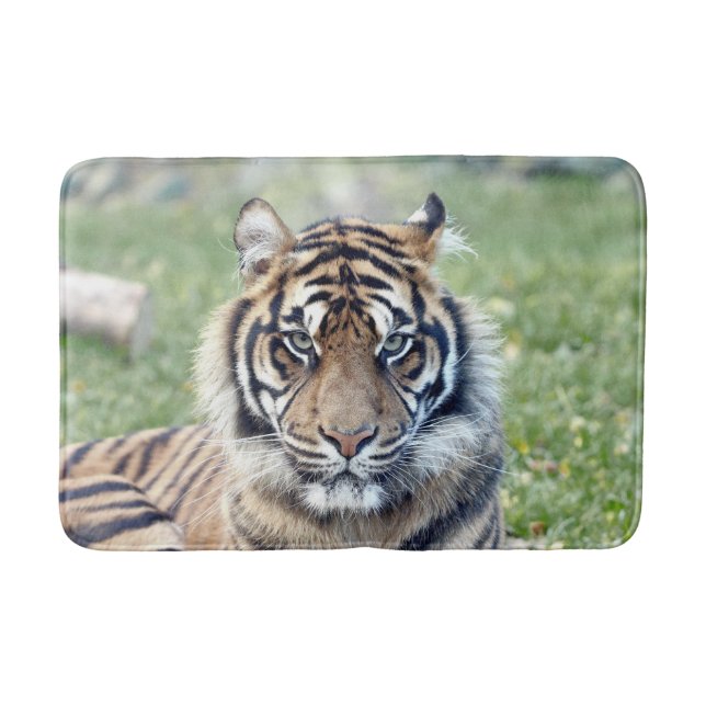 Bath Mat Foto Tiger Katze , Tiere. Badematte (Vorderseite)