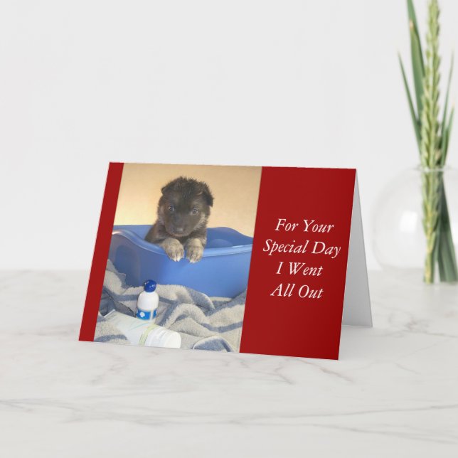 Bath Time Welppies Card Karte (Vorderseite)