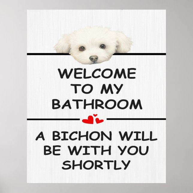 Bathroom Bichon Frise Poster (Vorne)