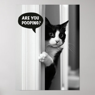 Bathroom Cat Poster, Are you Pooping Poster Funny 