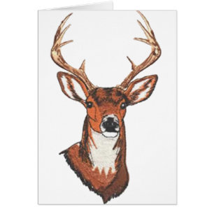 Bâti de support de mâle de trophée