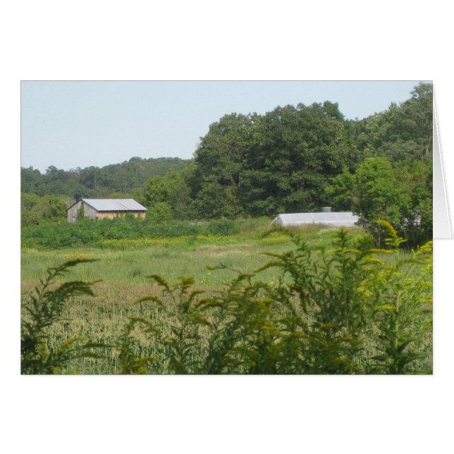 Bâtiments agricoles (Devant horizontal)