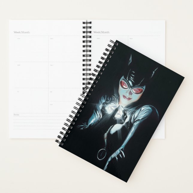 Batman Catwoman Faces of Evil Cover Illustration Planer (Anzeige)