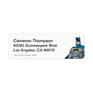 Batman Protector