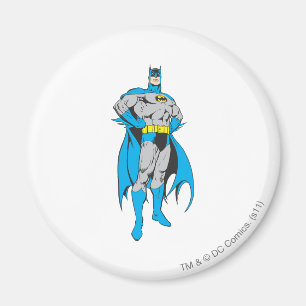 Batman steht aufrecht magnet