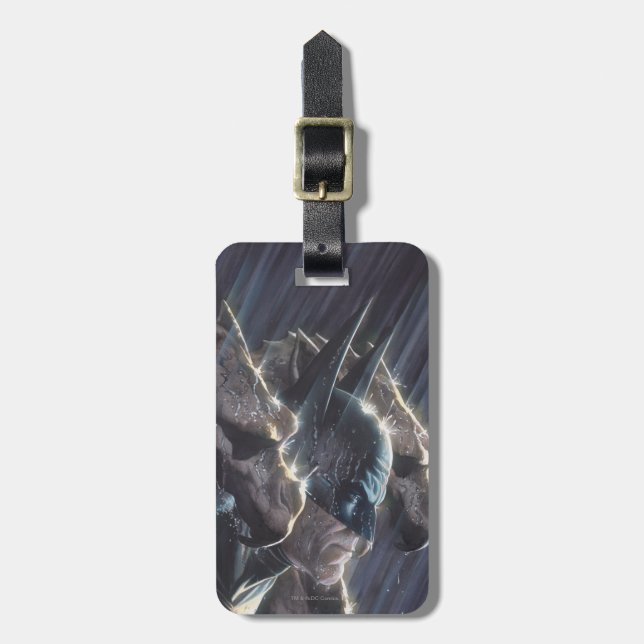 Batman Vol 1 #681 Abdeckung Gepäckanhänger (Vorderseite vertikal)