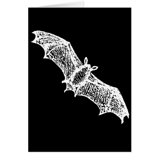 Bats (Devant)