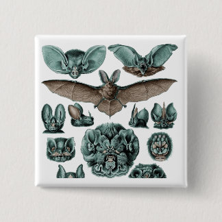 Bats Chiroptera Plate 67 Button